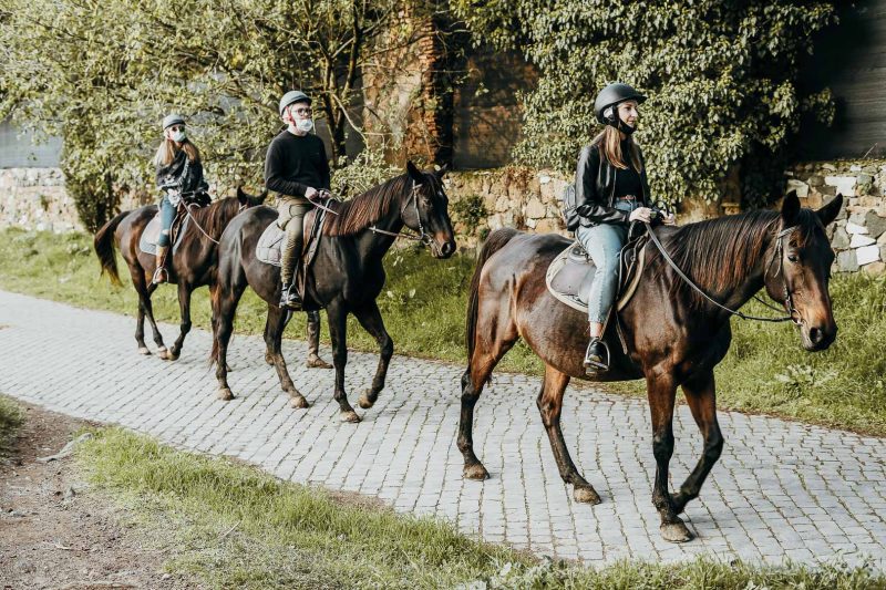 ballade cheval seminaire navarre bardenas pampelune Agence Erronda
