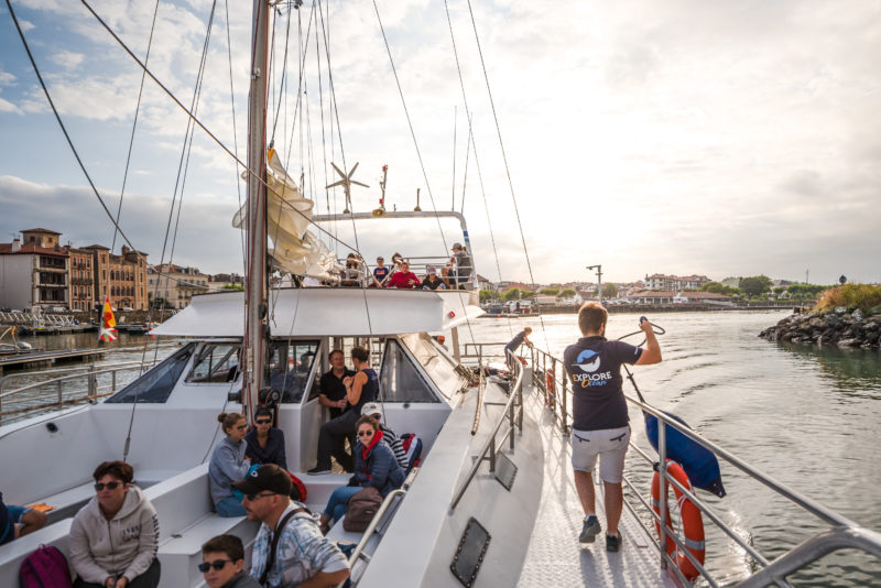 agence evenementielle receptive pays basque erronda seminaire team building incentive event explore ocean sortie bateau exploration cetacés