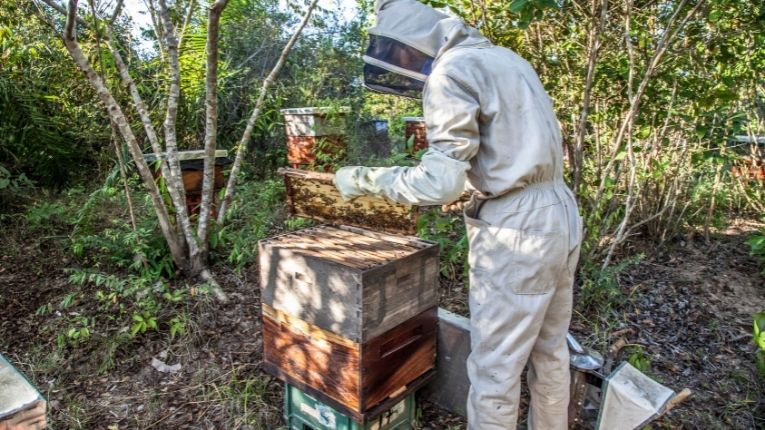 Team building Retour à la Terre apiculteur d'un jour agence événementielle erronda
